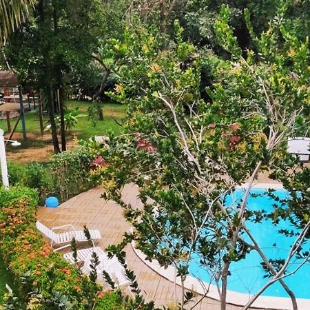 Pousada Ecogreen Imbassai Mata de Sao Joao Kültér fotó